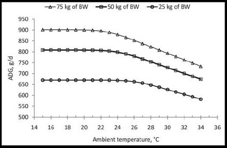 stress heat pigs pig reduce tips cool summer alltech average daily gain temperature effect figure bodyweight significant